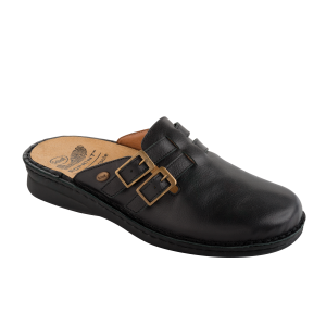Scholl – New Indoor