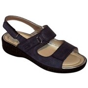 Scholl – Ardea
