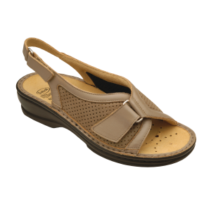 Scholl – Gelsomina